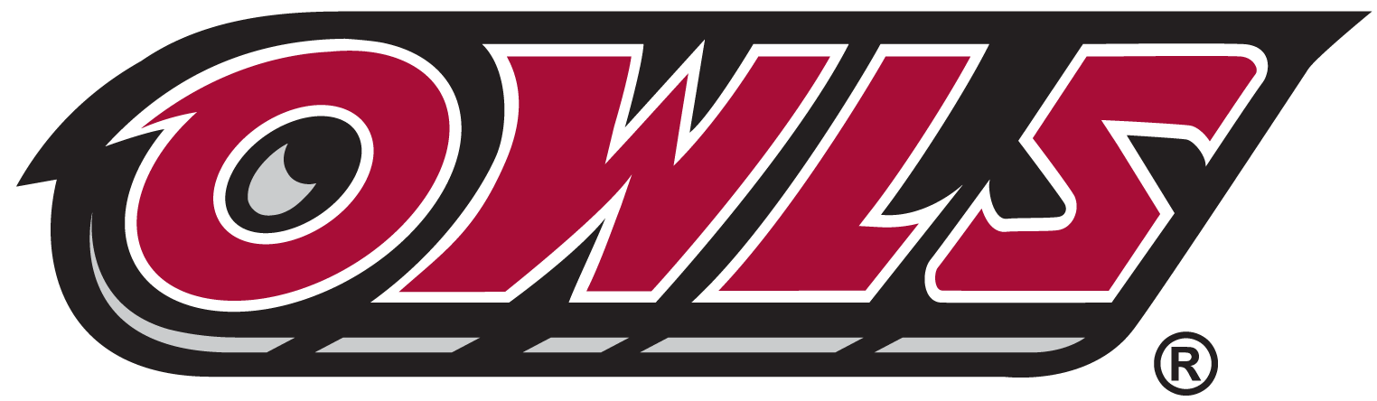 Temple Owls 1996-Pres Wordmark Logo diy iron on heat transfer